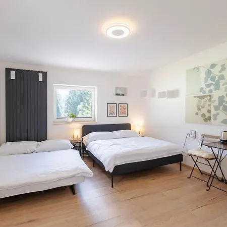 Lesovna Hotel 3*